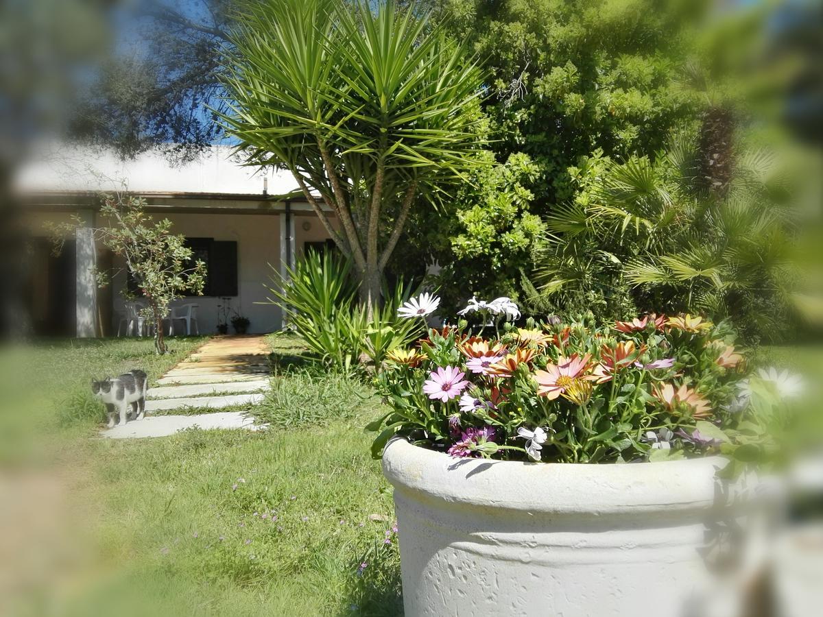 Missipezza Residence A Frassanito Alimini Dış mekan fotoğraf